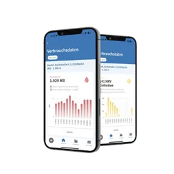 Bild von Verbrauchsdaten in einer APP